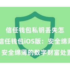 信任钱包私钥丢失怎么办 信任钱包iOS版：安全绵薄的数字财富处置用具